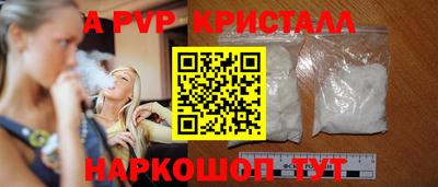 СК Кингисепп