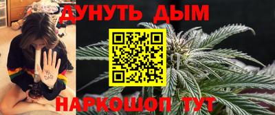 СК Кингисепп