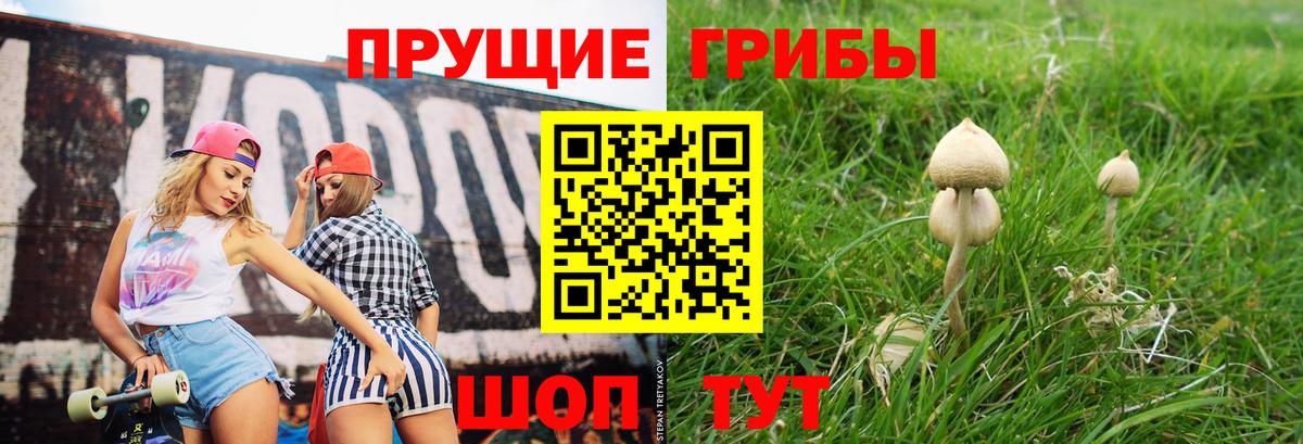 купить закладку  Галлюциногенные грибы мухоморы  Вход с VPN  Ленинск-Кузнецкий 